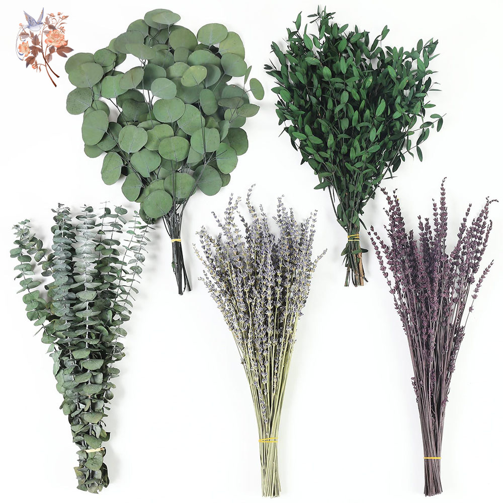 Home Fragrance Fillers - Mélange de feuilles d'eucalyptus séchées, 110