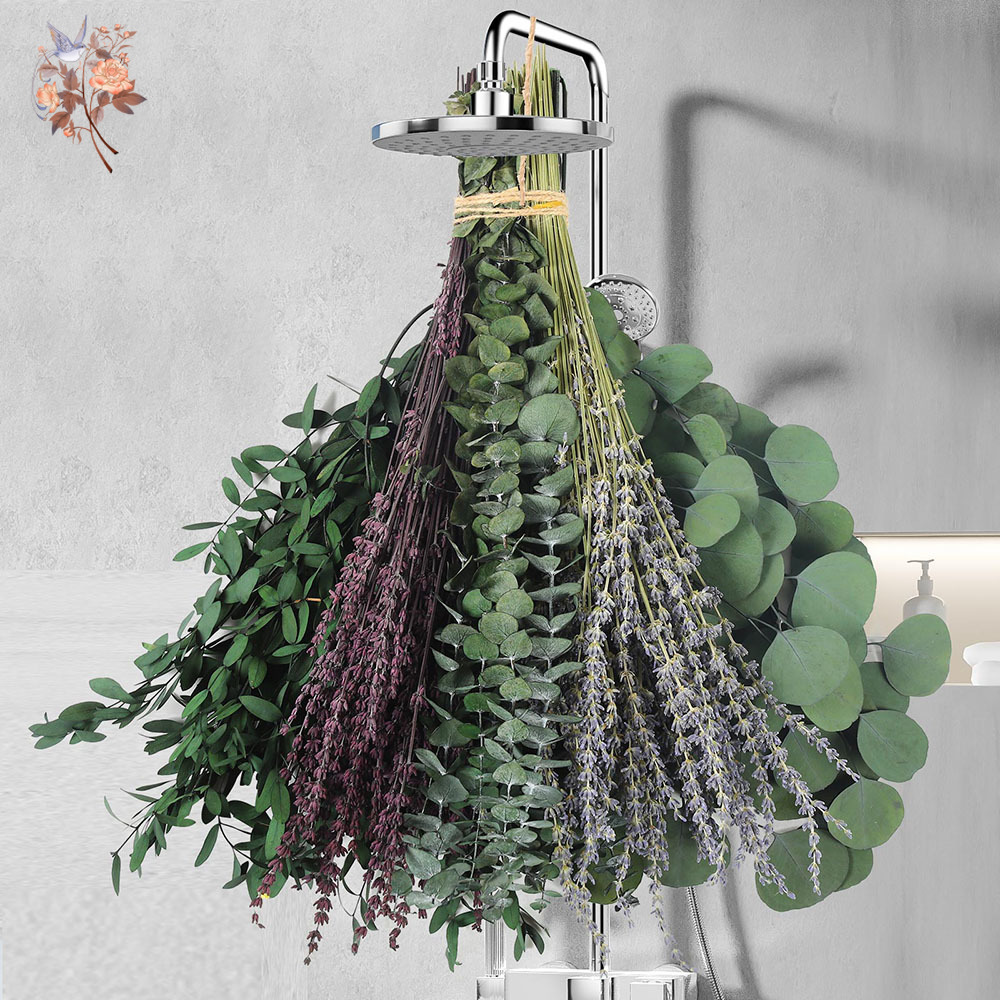 Mélange de feuilles d'eucalypt - Home Fragrance Fillers avis et prix