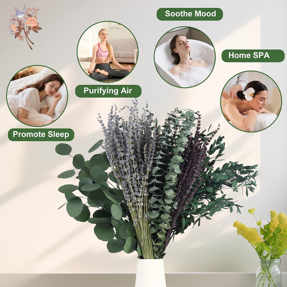 Mélange de feuilles d'eucalypt - Home Fragrance Fillers avis et prix